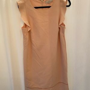 Loft peach sheath dress with ruffle sleeve